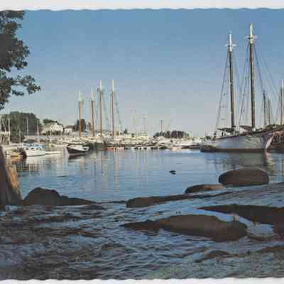 Pat Jones Postcard Collection 220