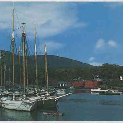 Pat Jones Postcard Collection 222