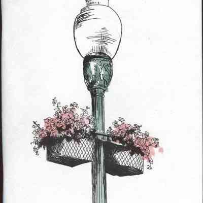 Camden, Maine 1998 - 1999 Town Report