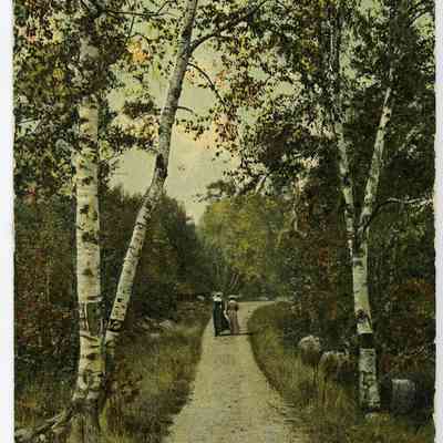 Pat Jones Postcard Collection 021