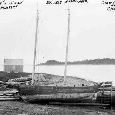 "Trumpet" in Clam Cove