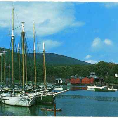 Pat Jones Postcard Collection 224