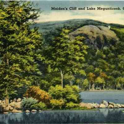 Milliken Collection 203