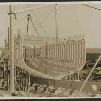 Baby Rose Trawler Frame