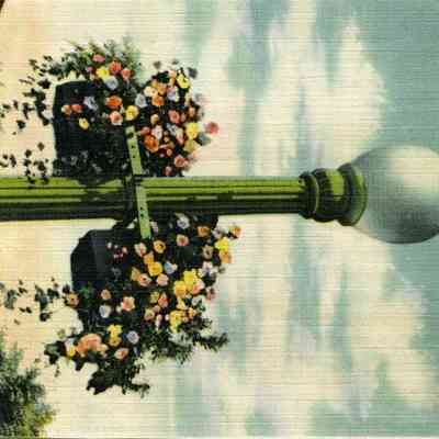 Milliken Collection 204