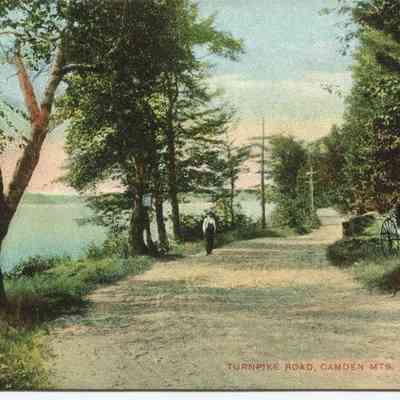 Bowley Collection Postcard 273