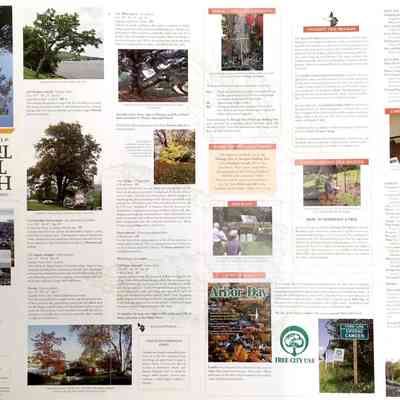 Heritage Trees & Landscapes Walking Tour