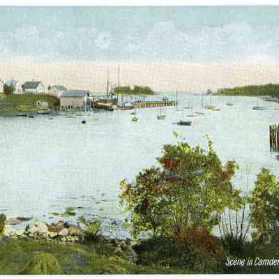 Pat Jones Postcard Collection 227