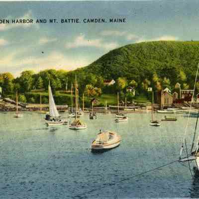 Milliken Collection 206