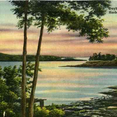 Milliken Collection 207