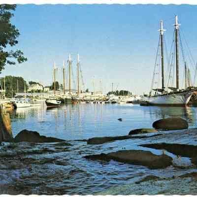 Pat Jones Postcard Collection 229