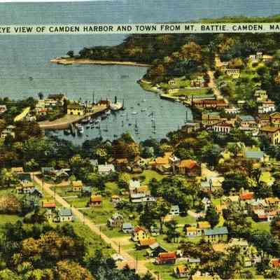 Milliken Collection 209