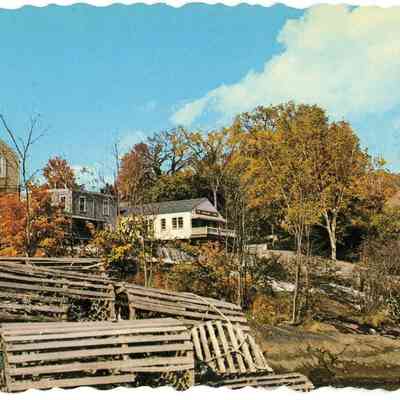 Pat Jones Postcard Collection 232