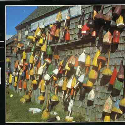 Milliken Collection 211