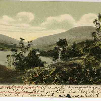 Pat Jones Postcard Collection 029