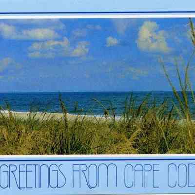 Milliken Collection 212