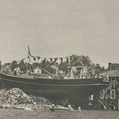 Swimmers Near The Baby Rose