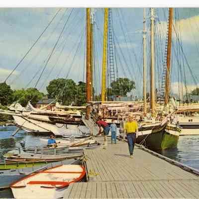 Pat Jones Postcard Collection 234