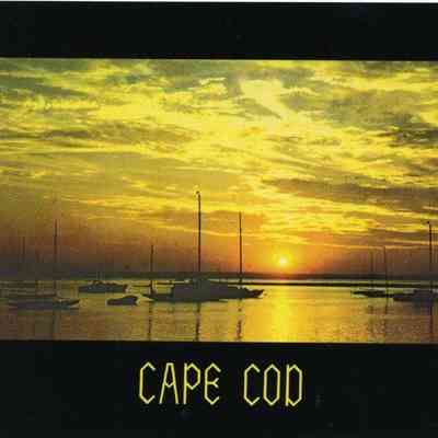 Milliken Collection 213