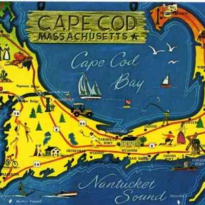 Milliken Collection 214