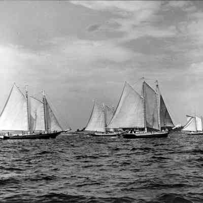 Camden windjammers