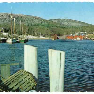 Pat Jones Postcard Collection 237