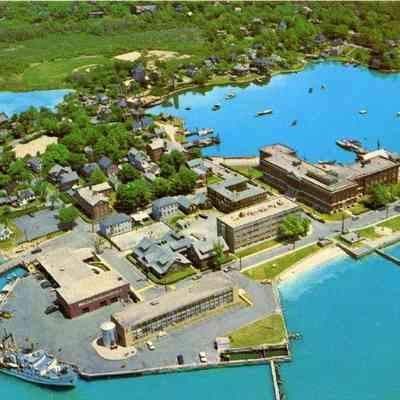 Milliken Collection 216