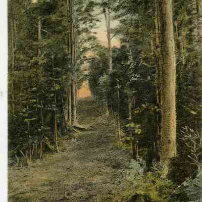 Pat Jones Postcard Collection 032