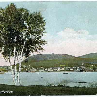 Pat Jones Postcard Collection 239