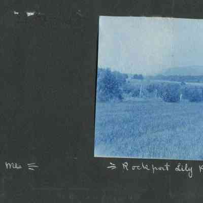 Lily Pond [missing Photo Of Percy]_p009