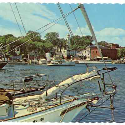 Pat Jones Postcard Collection 242