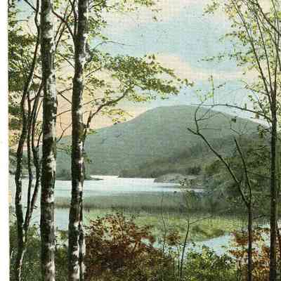 Pat Jones Postcard Collection 036