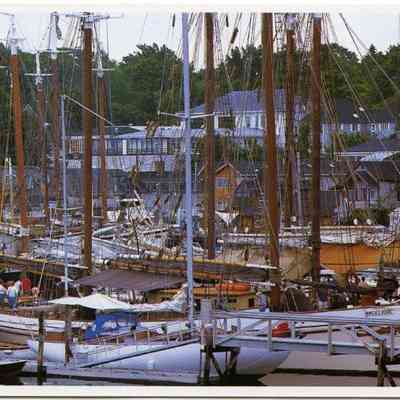 Milliken Collection 009