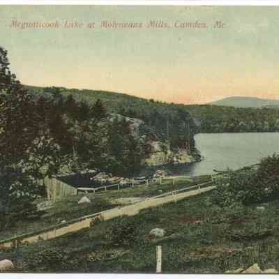 Bowley Collection Postcard 289