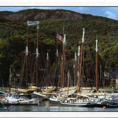 Milliken Collection 011