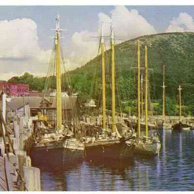 Pat Jones Postcard Collection 247