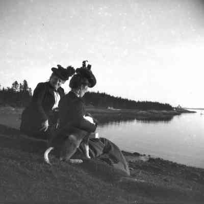 View of Beauchamp Point