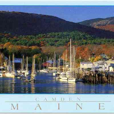 Milliken Collection 012