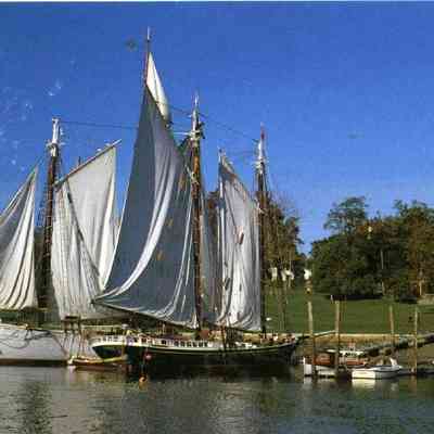 Milliken Collection 013