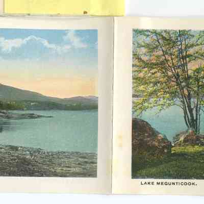 The Phyllis Young Postcard Collection