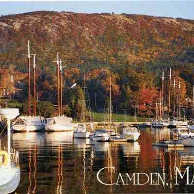 Milliken Collection 014