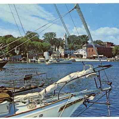 Pat Jones Postcard Collection 250