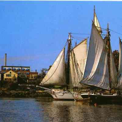 Milliken Collection 015