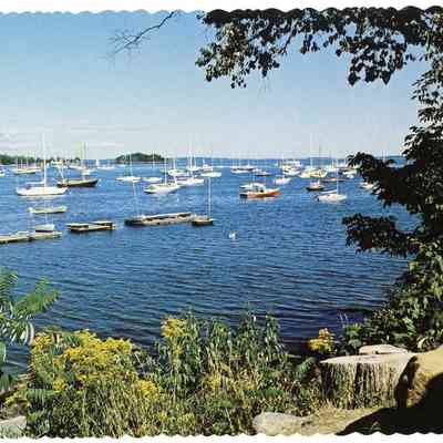 Pat Jones Postcard Collection 251