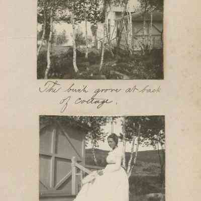 "The birch grove at the back of cottage."; "On the side steps."