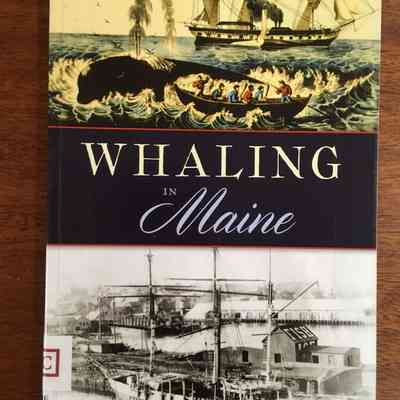 Whaling in Maine