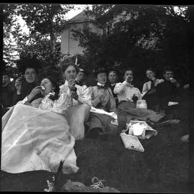 Lunch under the trees