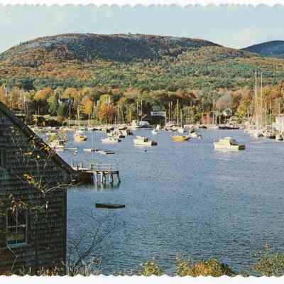 Pat Jones Postcard Collection 254