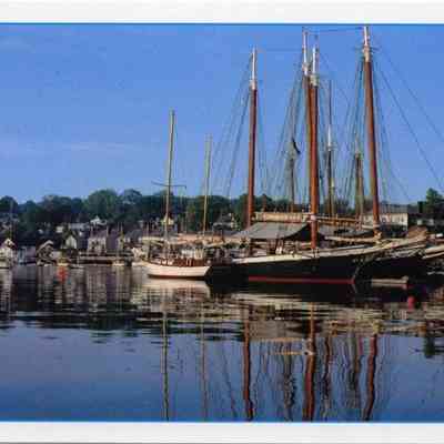 Milliken Collection 020