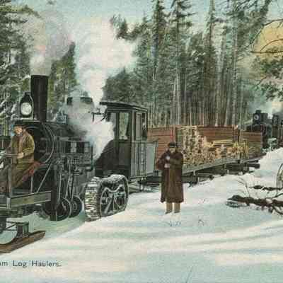 Bowley Collection Postcard 034 A